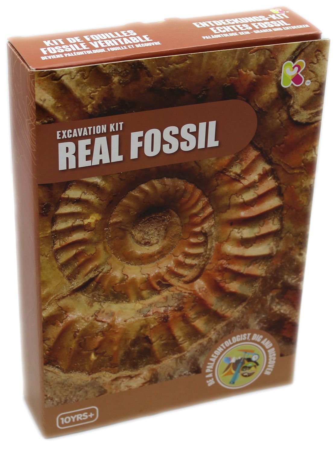SC206 Fossil Dig Kit - Dinosaur Discovery Science Kit for Kids Ages 10-12 | STEM Educational Toys for Boys & Girls | Great for Birthday Gifts & Classroom Science Activities