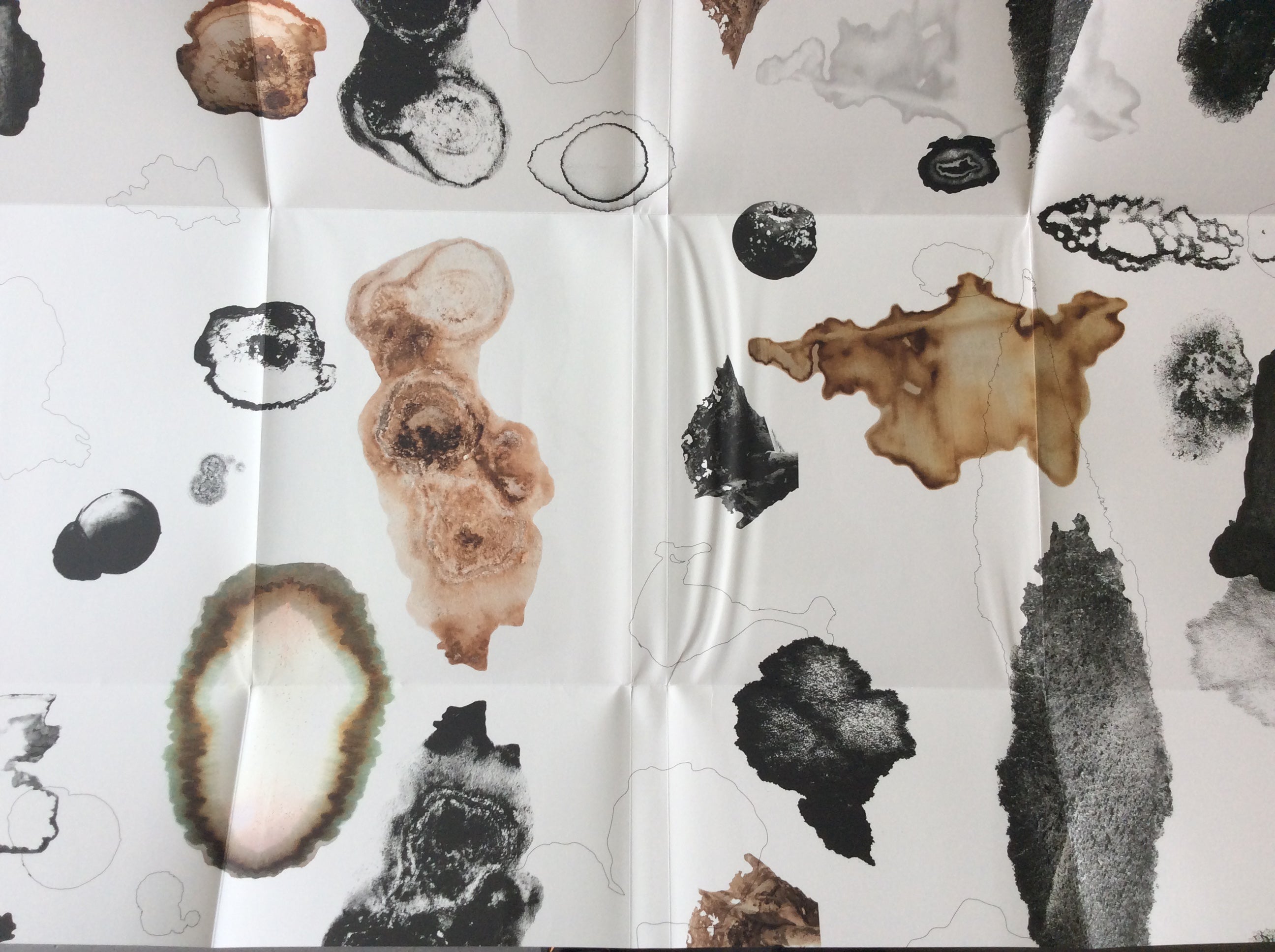 The Living Surface: A Unique Biology Book Exploring Stains & Microbial Life - Perfect for Science Enthusiasts & Classroom Learning