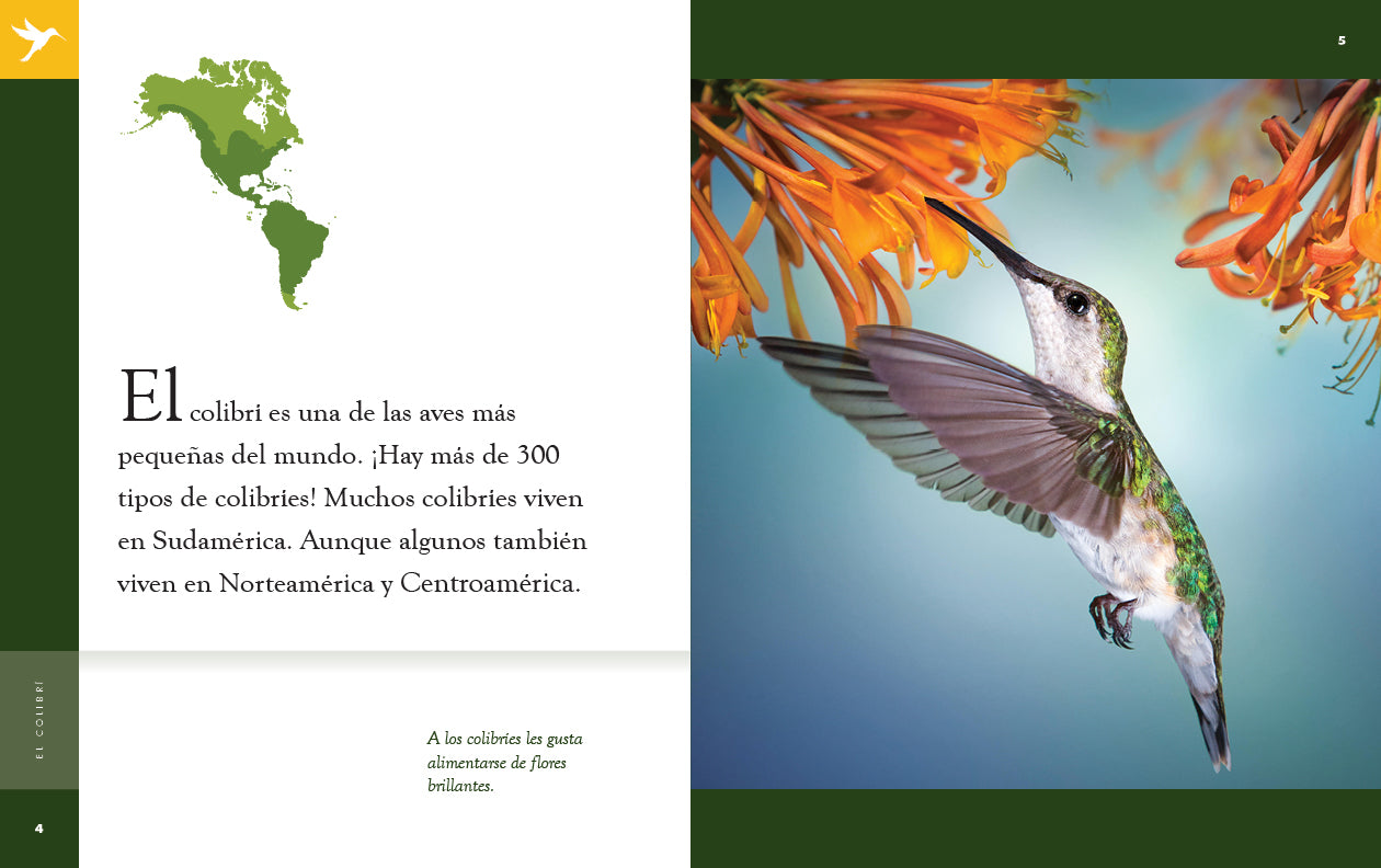 El Colibri 9781640266735 - Beautiful Hummingbird Book for Nature Lovers | Perfect for Birdwatching, Gifts & Home Decor