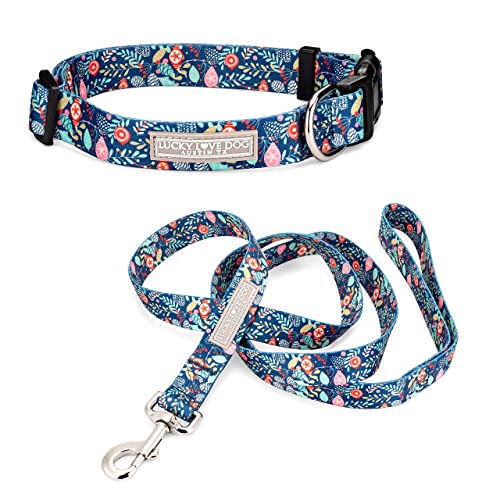 Sweetholiday Collar/Leash Combo
