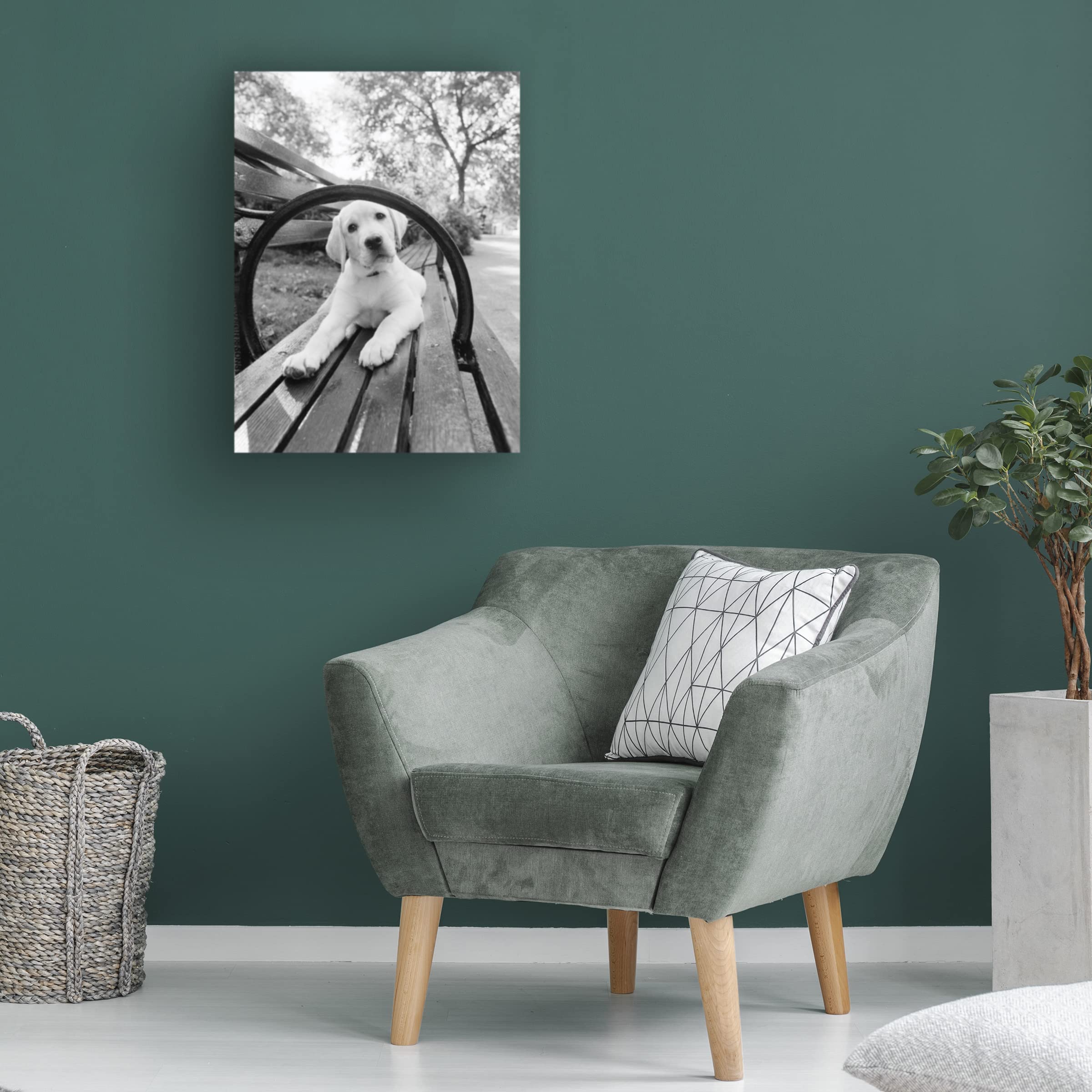 Trademark Fine Art 'Never Doubt That You Can' Motivational Canvas Wall Art by Jim Dratfield - Inspirational Home & Office Decor for Living Room, Bedroom or Workspace