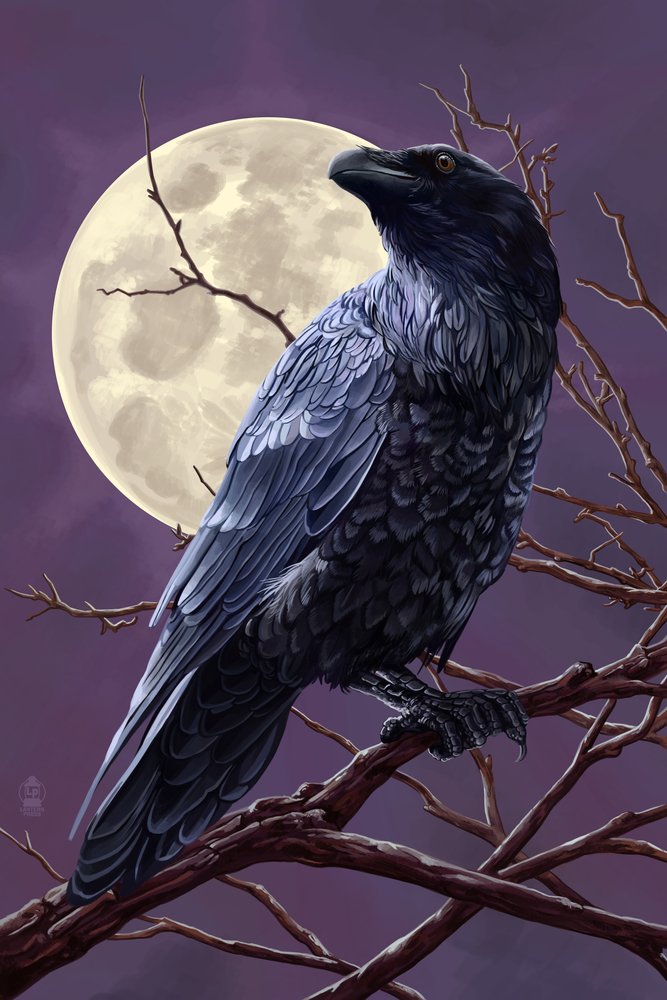 Lantern Press 16x24 Inch Giclee Art Print - Raven and Moon Night Scene Wall Decor for Living Room, Bedroom & Office