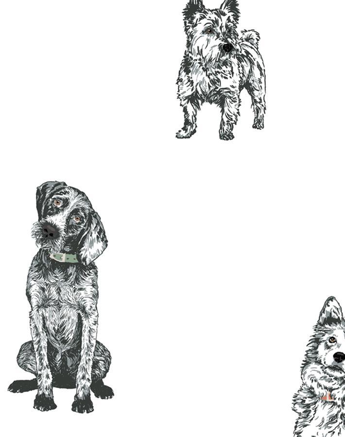 Nathan Turner White 'Mutts' Wallpaper - Premium Peel and Stick Wallpaper for Living Room, Bedroom, and Nursery Decor