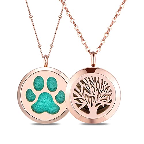 2 Pack Diffuser Necklace