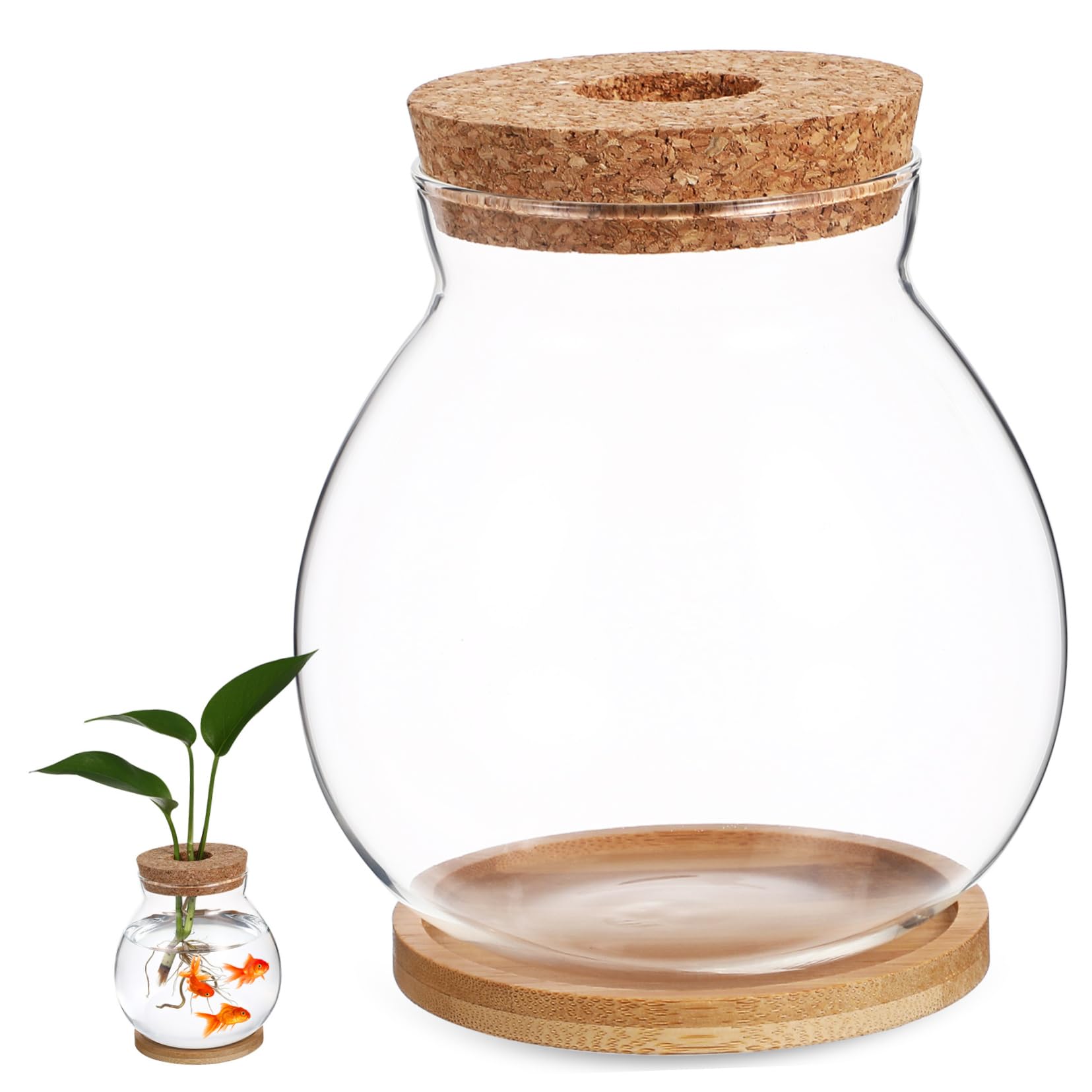 Glass Terrarium with Lid - Goldfish Bowl, Betta Fish Tank, Hydroponic Plant Vase for Office Desk Decor | Perfect for Home Aquarium, Indoor Gardening & Zen Bamboo Arrangements