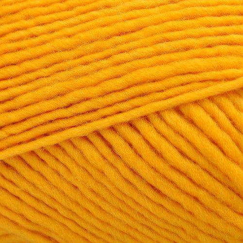 Feather Gold - 1LL60P