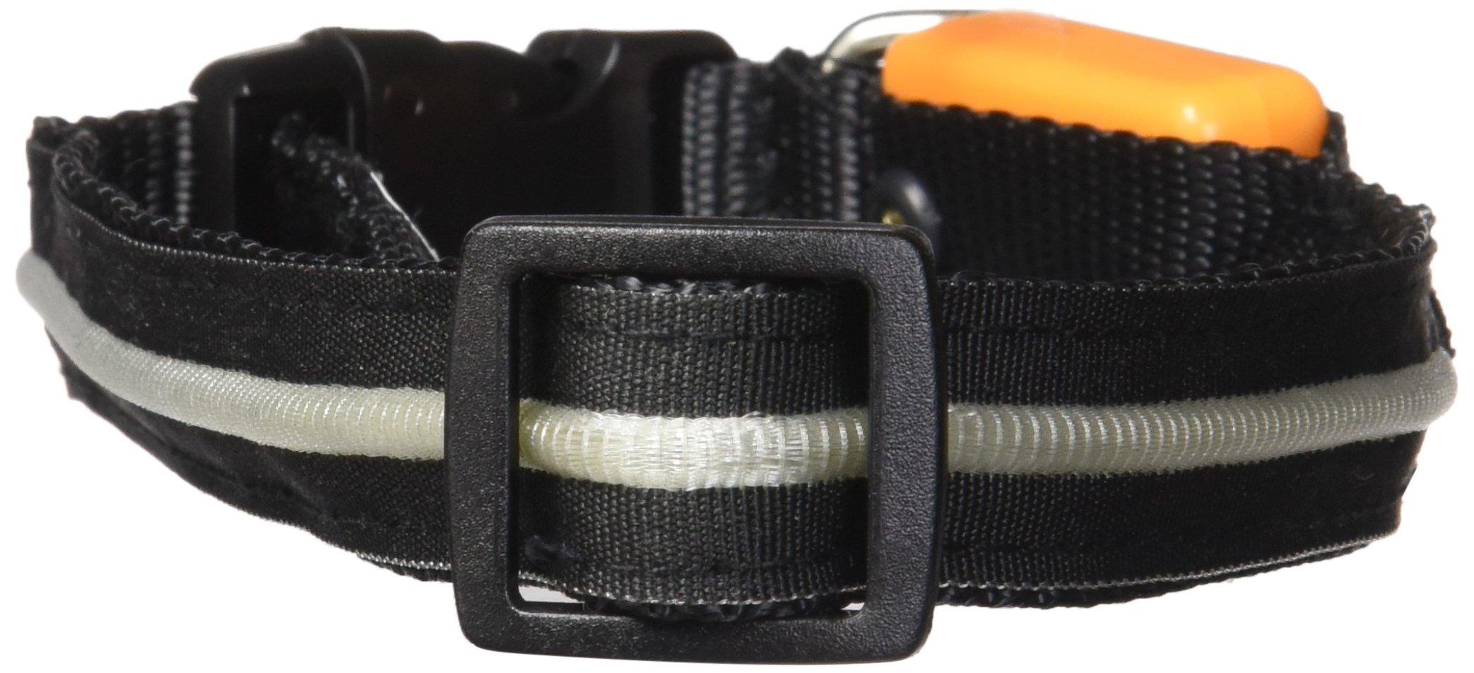 Sassy LED Flashing Dog Collar - 11 to 20 Inch Adjustable Glow Collar for Small to Medium Dogs | Waterproof & Rechargeable Pet Safety Light for Night Walks, Jogging, and Outdoor Adventures