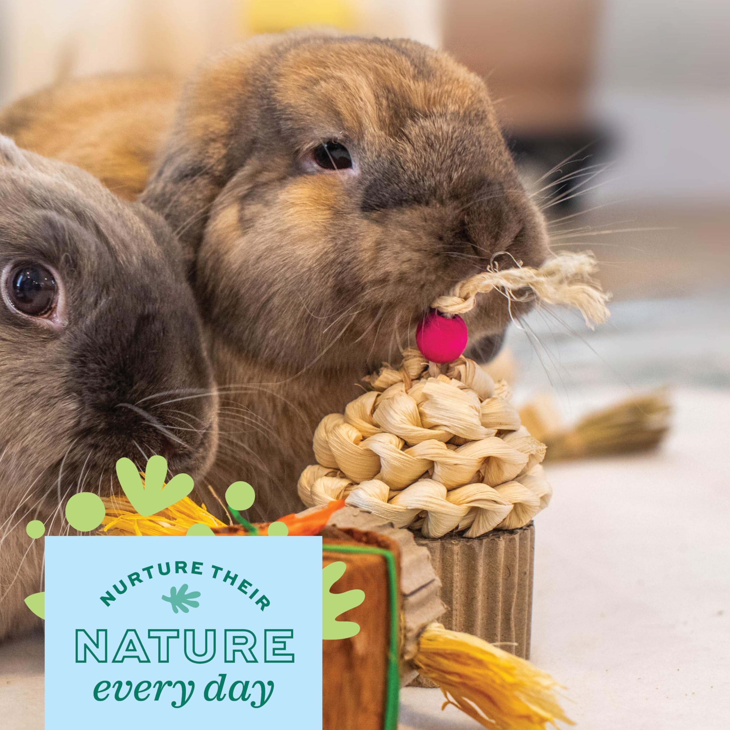 Oxbow Enriched Life Birthday Party Pack - Fun Rabbit Toys & Guinea Pig Toys for Small Pets - Bunny, Hamster, Chinchilla & Rat Cage Accessories - Perfect for Playtime, Enrichment & Special Occasions