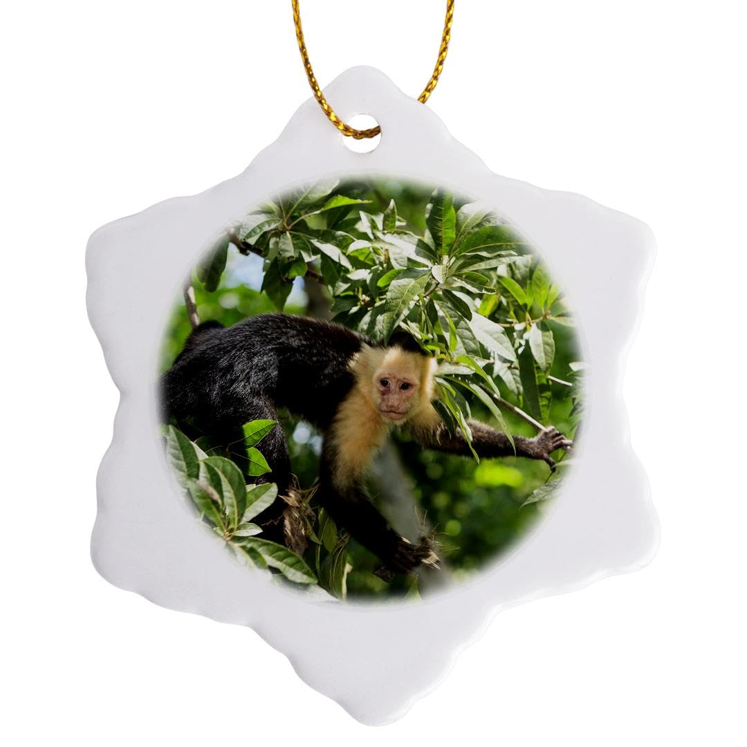 3D Snowflake Ornament - White-Faced Capuchin Monkey from Roatan, Bay Islands, Honduras - 3 Inch Christmas Tree Decoration for Holiday Home Decor & Gift Giving