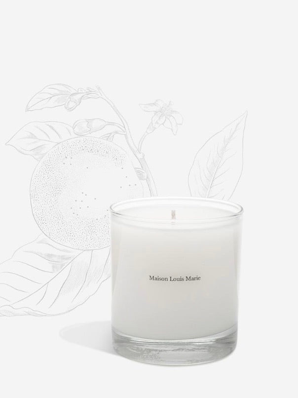 Maison Louis Marie No. 09 Valeé De Farney Luxury Scented Candle - Premium Home Fragrance for Relaxation & Aromatherapy | Perfect for Bedroom, Living Room & Spa