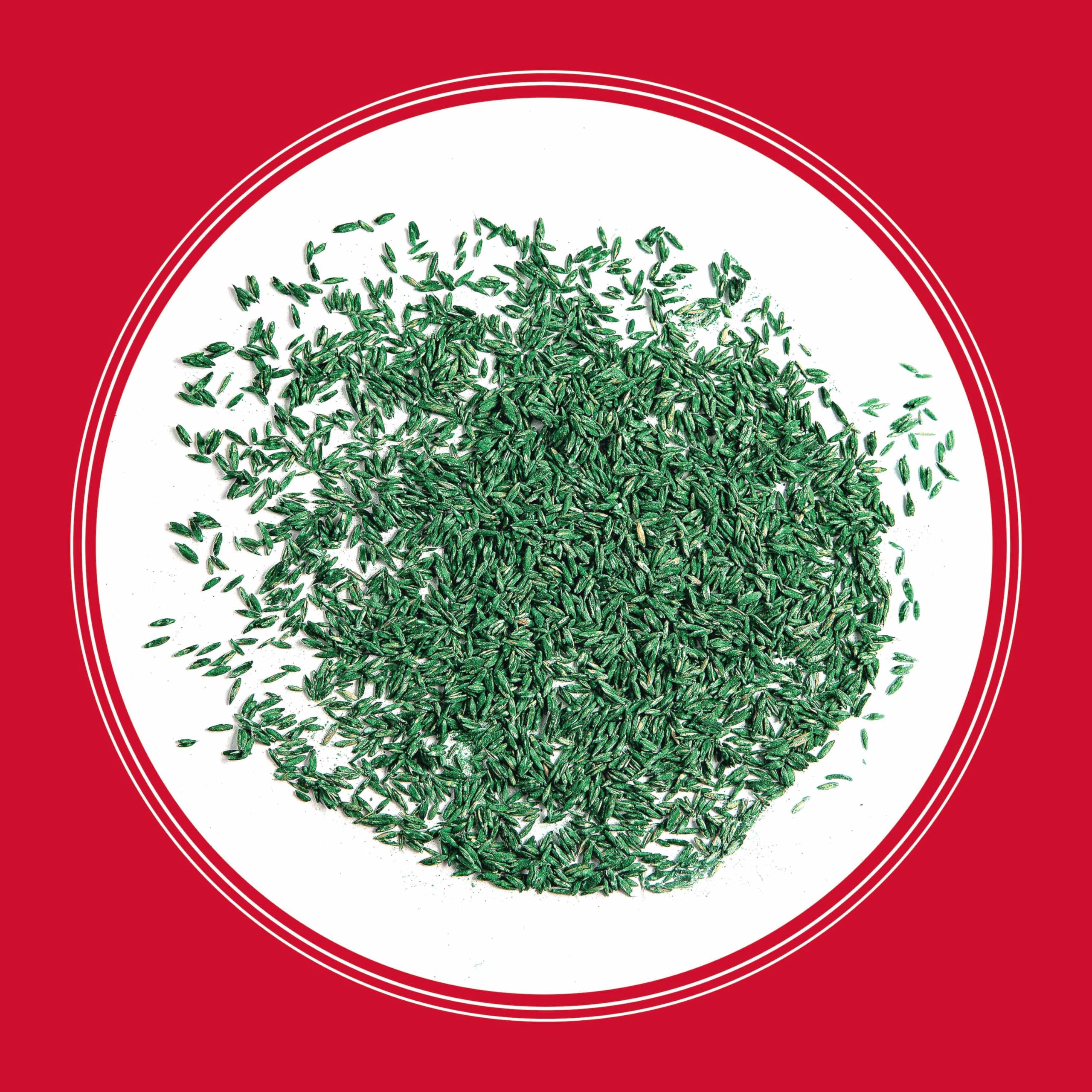 Pennington The Rebels Tall Fescue Grass Seed Mix 7 lb - Premium Drought-Resistant Lawn Seed for Sunny Yards & High-Traffic Areas