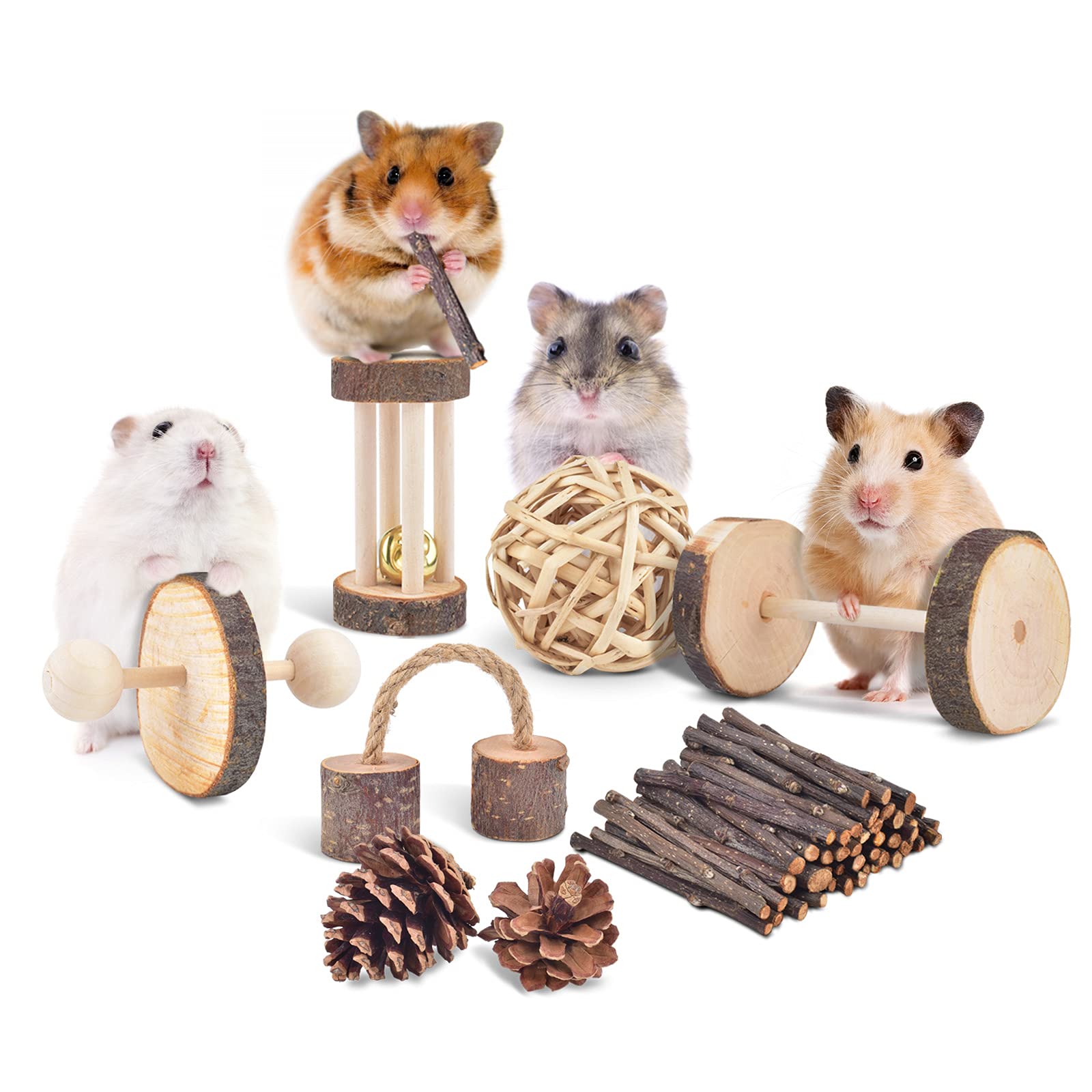 ERKOON 11 Pack Natural Apple Wood Chew Toys for Chinchillas, Hamsters, Gerbils, Rats & Guinea Pigs - Teeth Care Accessories with Ladder, Bell & Roller - Perfect for Cage Enrichment & Small Pet Dental Health