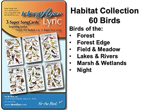 Lyric 100 Birds Embroidery Kit with Sewing Machine, 3 Song Cards & Storage Case - Perfect for Beginners, DIY Crafts & Home Decor Projects