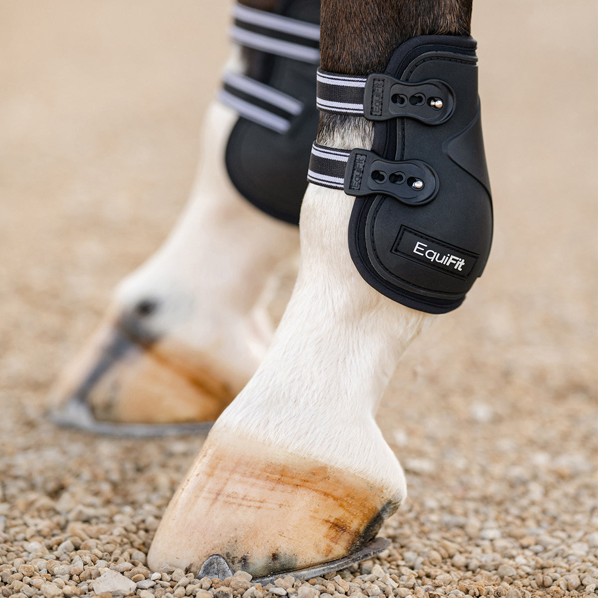 Equifit Prolete Hind Boot with Elastic Straps - Horse Riding Boots for Jumping & Dressage - Secure Fit for Training & Competition