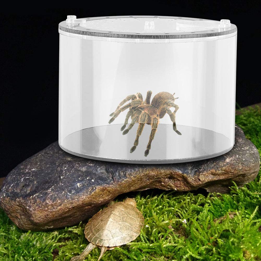 Valentine's Day Gift - Acrylic Rotatable Reptile Feeding Box for Lizards, Spiders & Small Pets - Durable Climbing Pet Food Dish for Terrariums & Habitats - Perfect for Valentine's Surprise & Reptile Enthusiasts