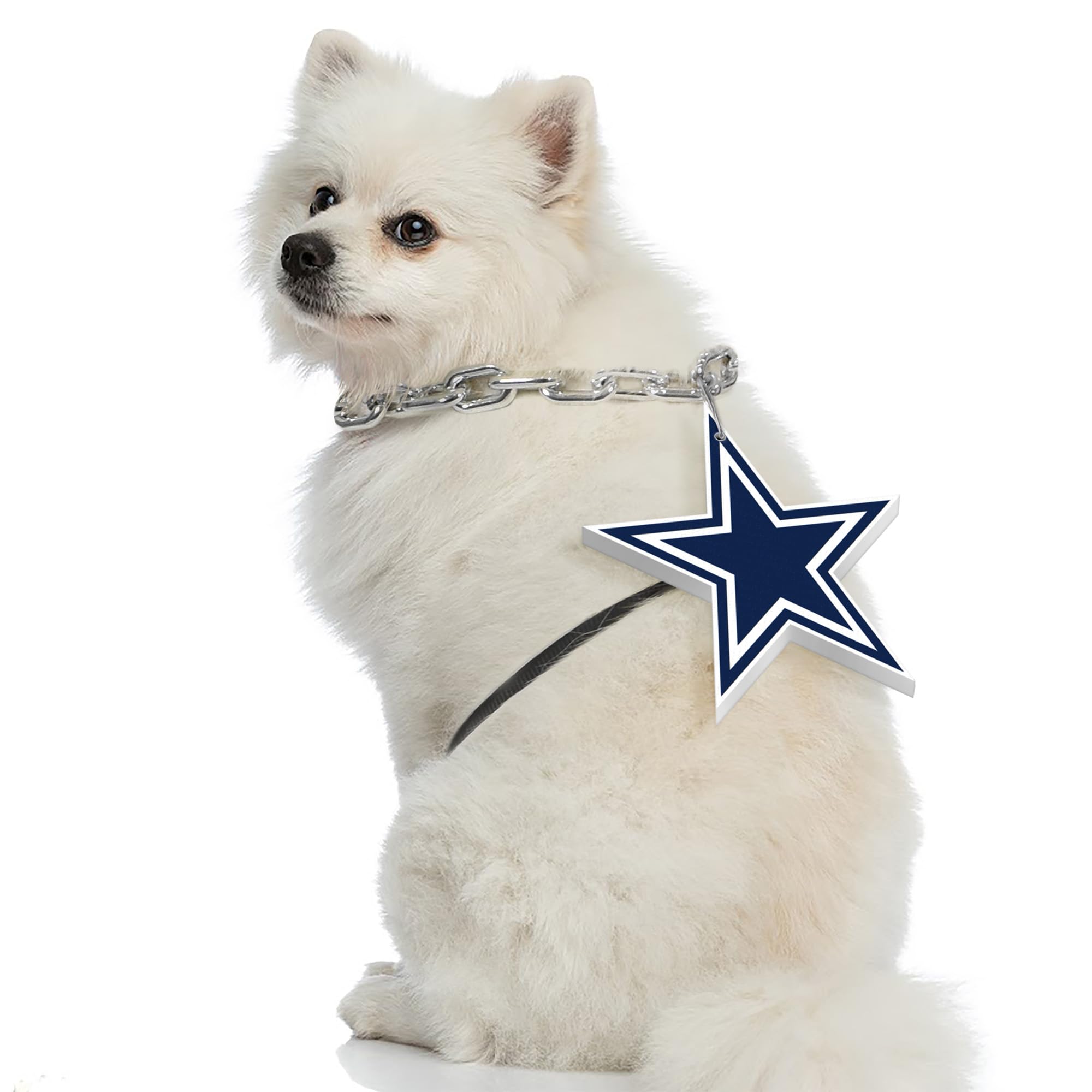 Littlearth NFL Pet Fan Chain - Officially Licensed Dog Collar for Football Fans - Perfect for Game Day, Tailgating & Showing Team Spirit
