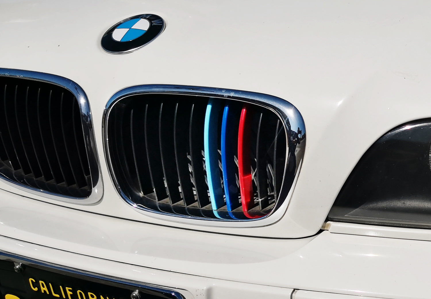 BMW E39 5 Series (1995-2003) ///M Style Colored Grille Insert Trims - 10 Beam Grill Upgrade for Enhanced Style & Performance | Perfect for Car Enthusiasts & Custom Builds