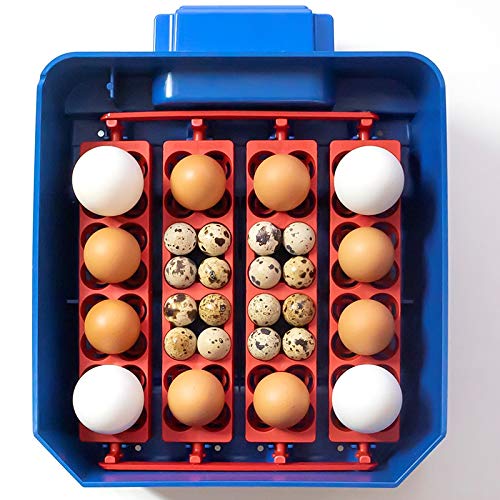 Premier 1 Supplies Borotto Lumia 16 Automatic Egg Incubator - Digital Poultry Hatcher with Temperature Control for Chicken, Duck & Quail Eggs - Perfect for Backyard Farming & Hobbyists
