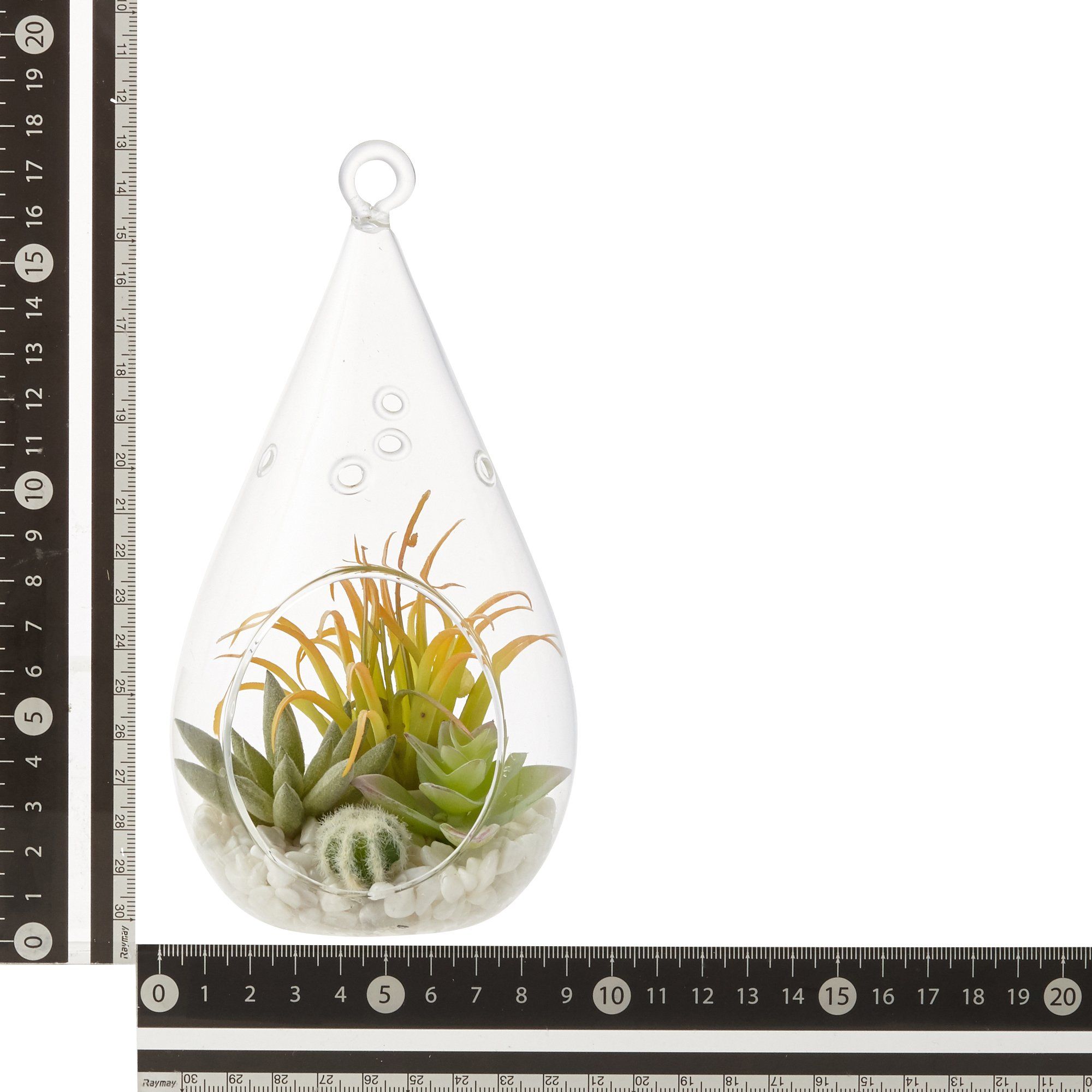 Stylish Caro Succulents Pot Drop - Modern Ceramic Planters for Succulents & Small Plants - Perfect for Home, Office, and Garden Decor