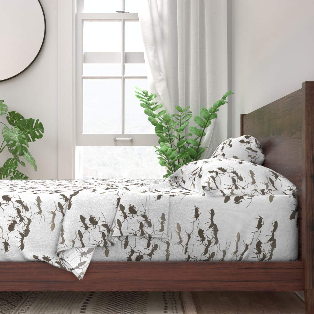 Premium 100% Cotton Queen 4-Piece Sheet Set with Bugs & Insects Print | Soft Breathable Bedding for Kids & Adults | Perfect for Themed Bedrooms, Dorm Rooms & Unique Home Decor