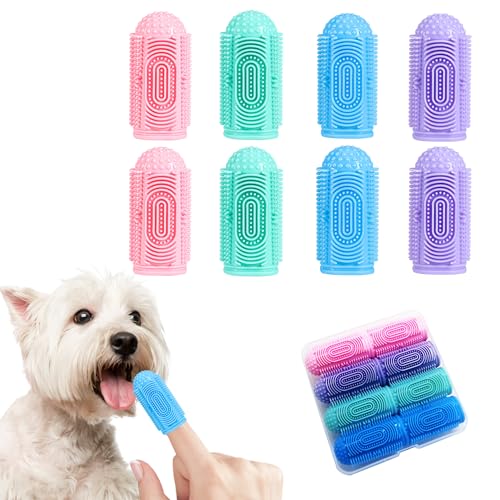 2 Blue 2 Green 2 Pink 2 Purple