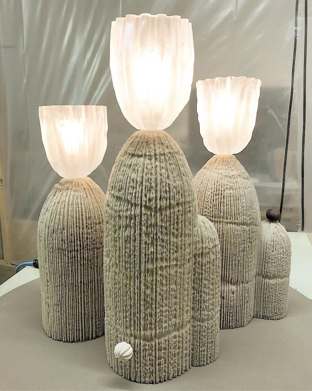 Cactus Night Light - 3D LED Desk Lamp for Bedroom, Nursery, Living Room | Perfect for Kids Room Decor, Relaxation & Ambient Lighting