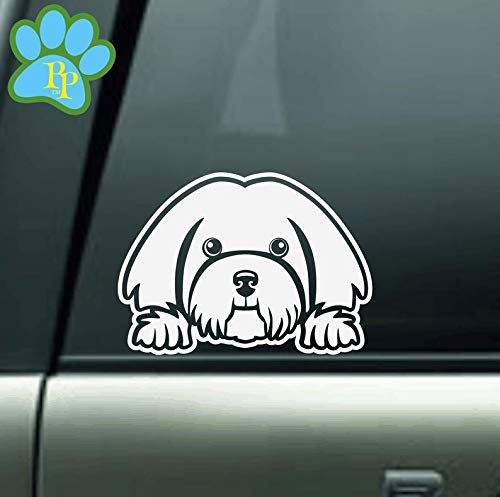 6-Inch Havanese Dog Peeking Vinyl Decal Sticker - Waterproof & Durable for Cars, Trucks, Windows, Boats, Toolboxes & Laptops - Perfect for Pet Lovers & Vehicle Decoration