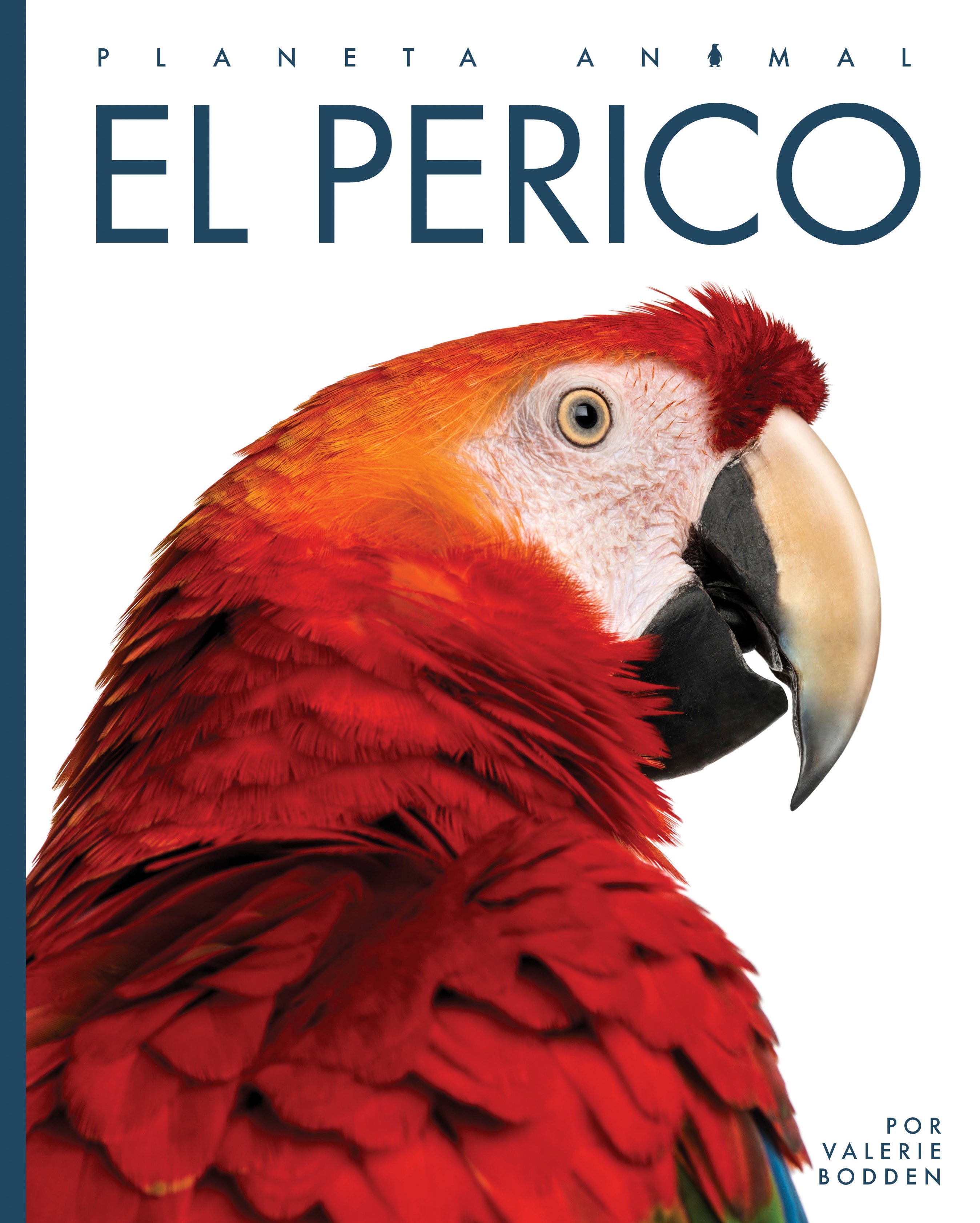 El Perico 9781640266773 - Authentic Latin American Parrot Book for Kids | Perfect for Bilingual Education & Cultural Learning at Home or School