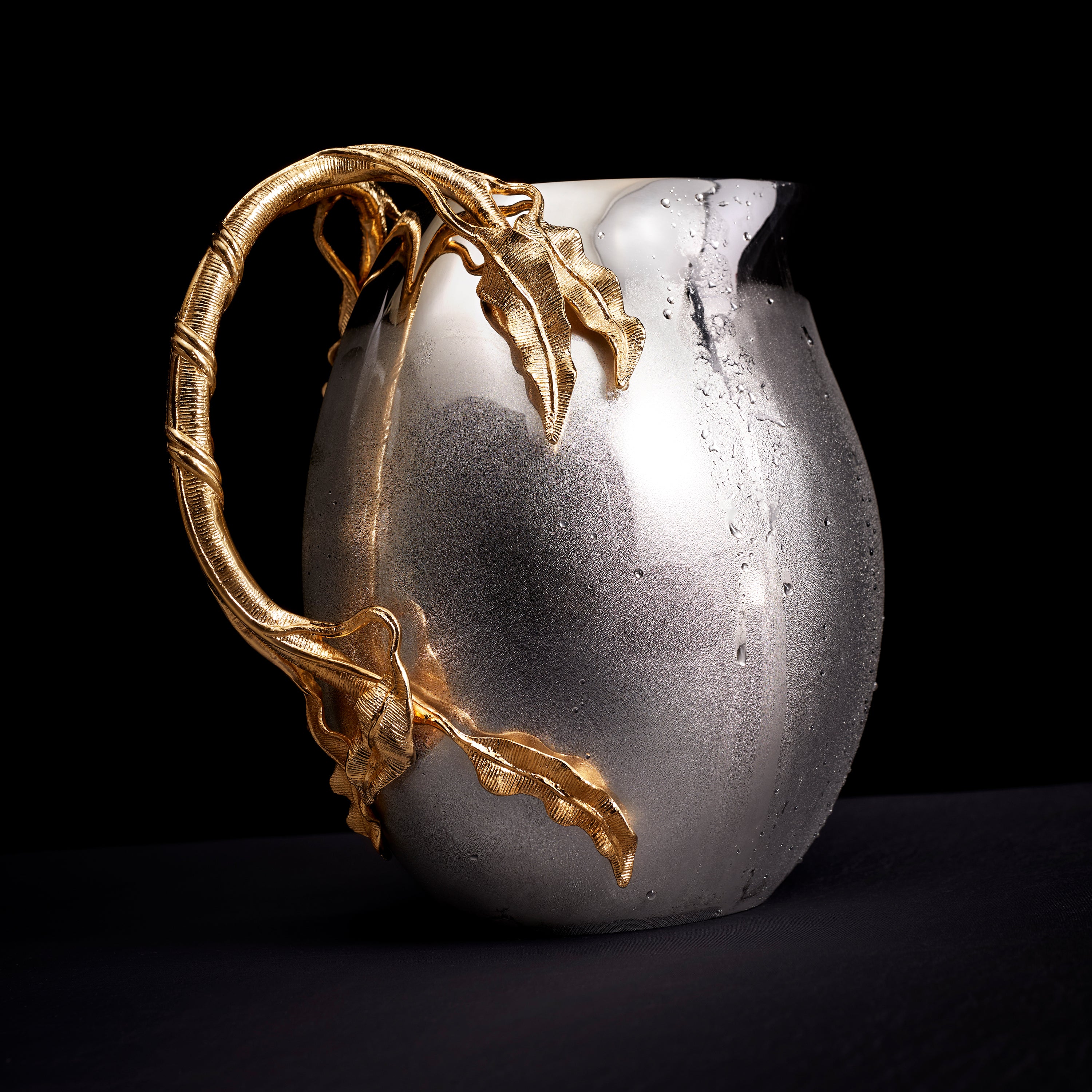 Fern Pitcher - Elegant Indoor Watering Can for Houseplants & Succulents | Perfect for Home, Office & Garden Decor