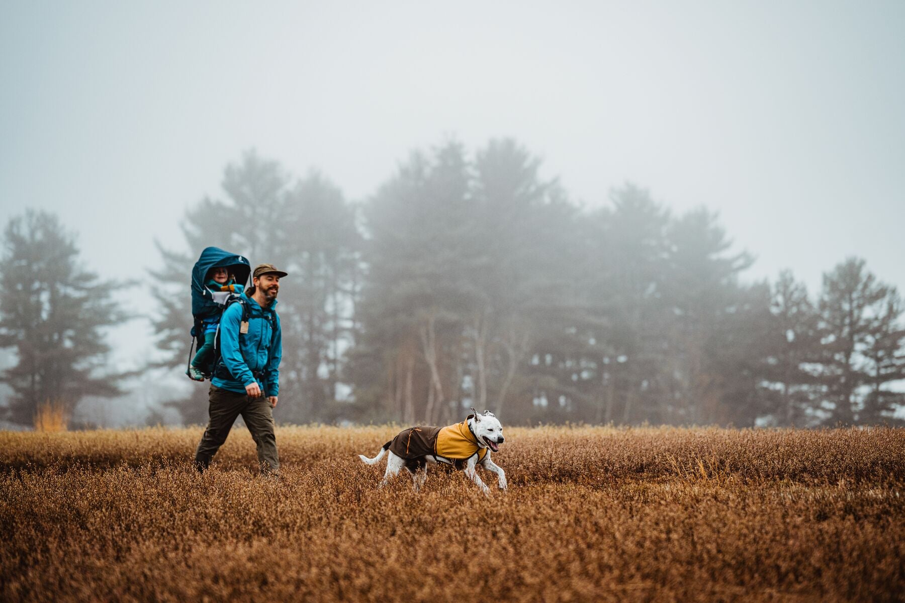 Waterproof & Windproof Ruffwear® Sun Shower™ Dog Raincoat - Mineral Yellow | Outdoor Adventure Gear for Hiking, Camping & Wet Weather Protection