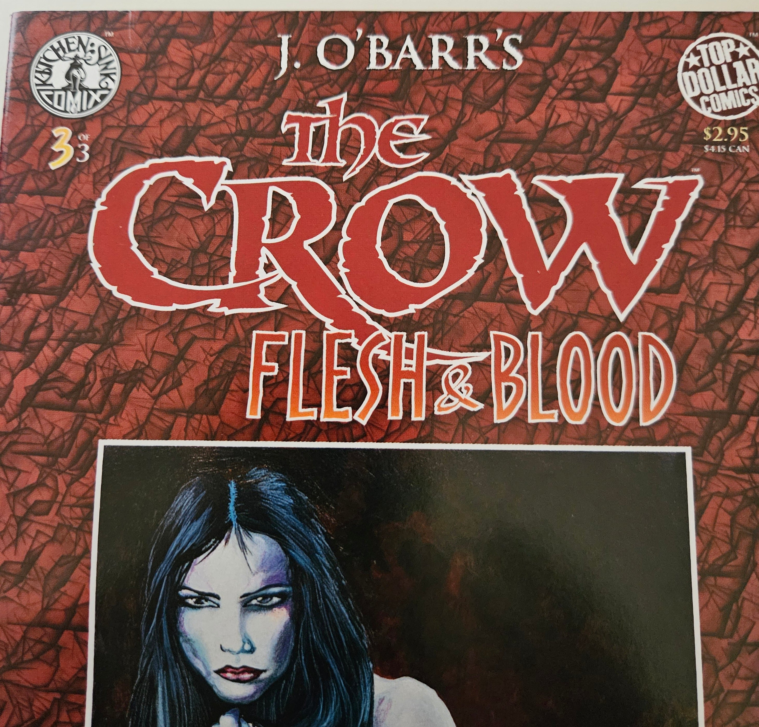 The Crow Flesh & Blood: 3 of 3 | Kitchen Sink Comics 1997 Edition | Near Mint Condition | Collectible Comic Book for Fans & Investors | Perfect for Display, Gifts, and Comic Collections