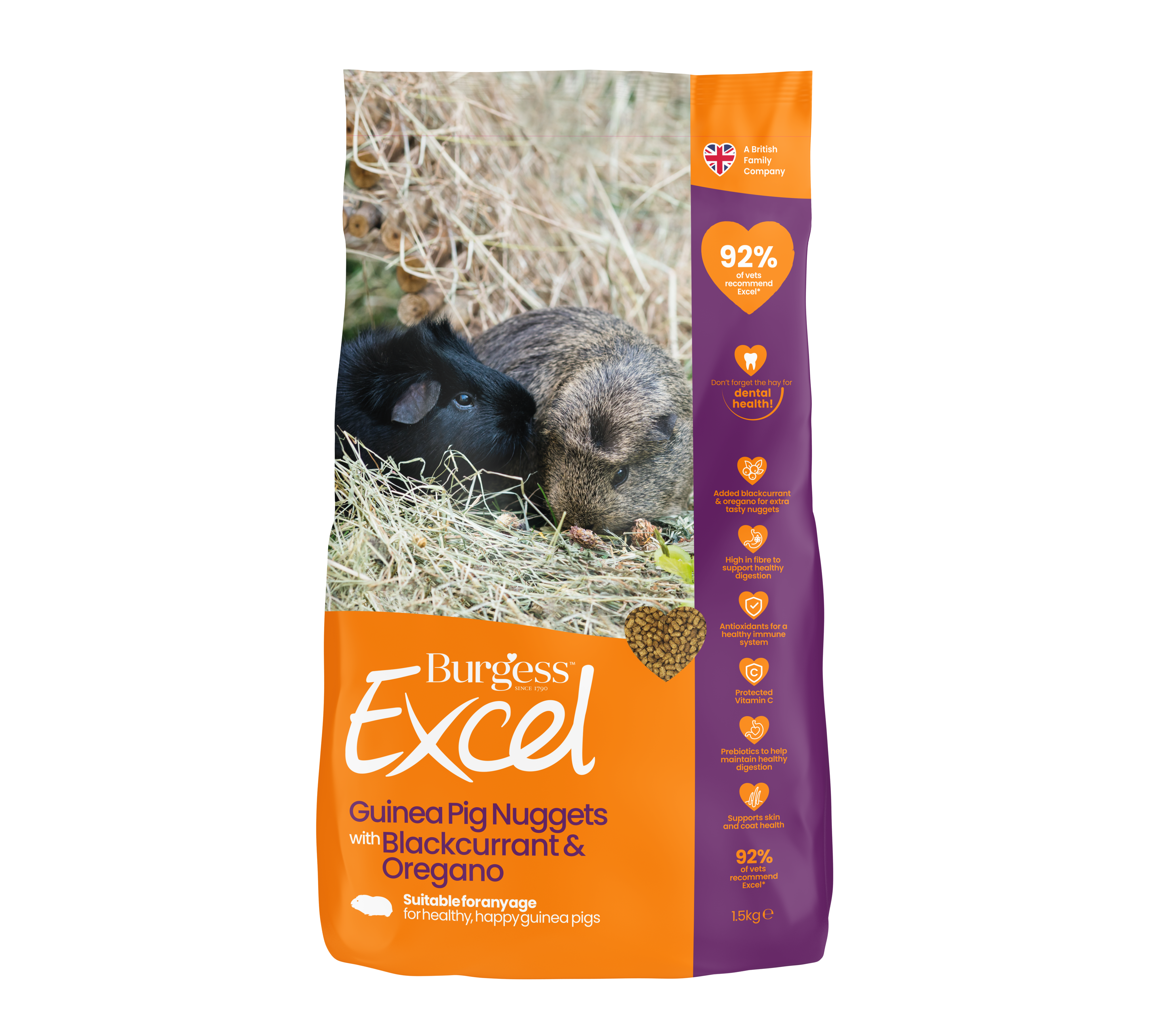 Premium Burgess Adult Guinea Pig Food Nuggets with Blackcurrant – 1.5KG Nutritious Pellet Diet for Healthy Digestion & Shiny Coat | Ideal for Daily Feeding & Small Pet Nutrition
