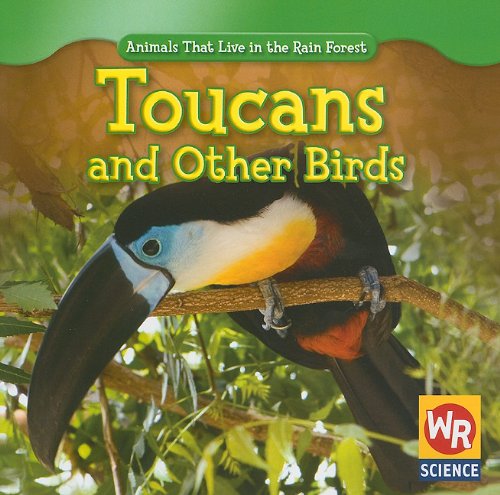 Toucans and Other Birds - Rainforest Animals for Kids | Educational Wildlife Books for Classroom & Home Learning