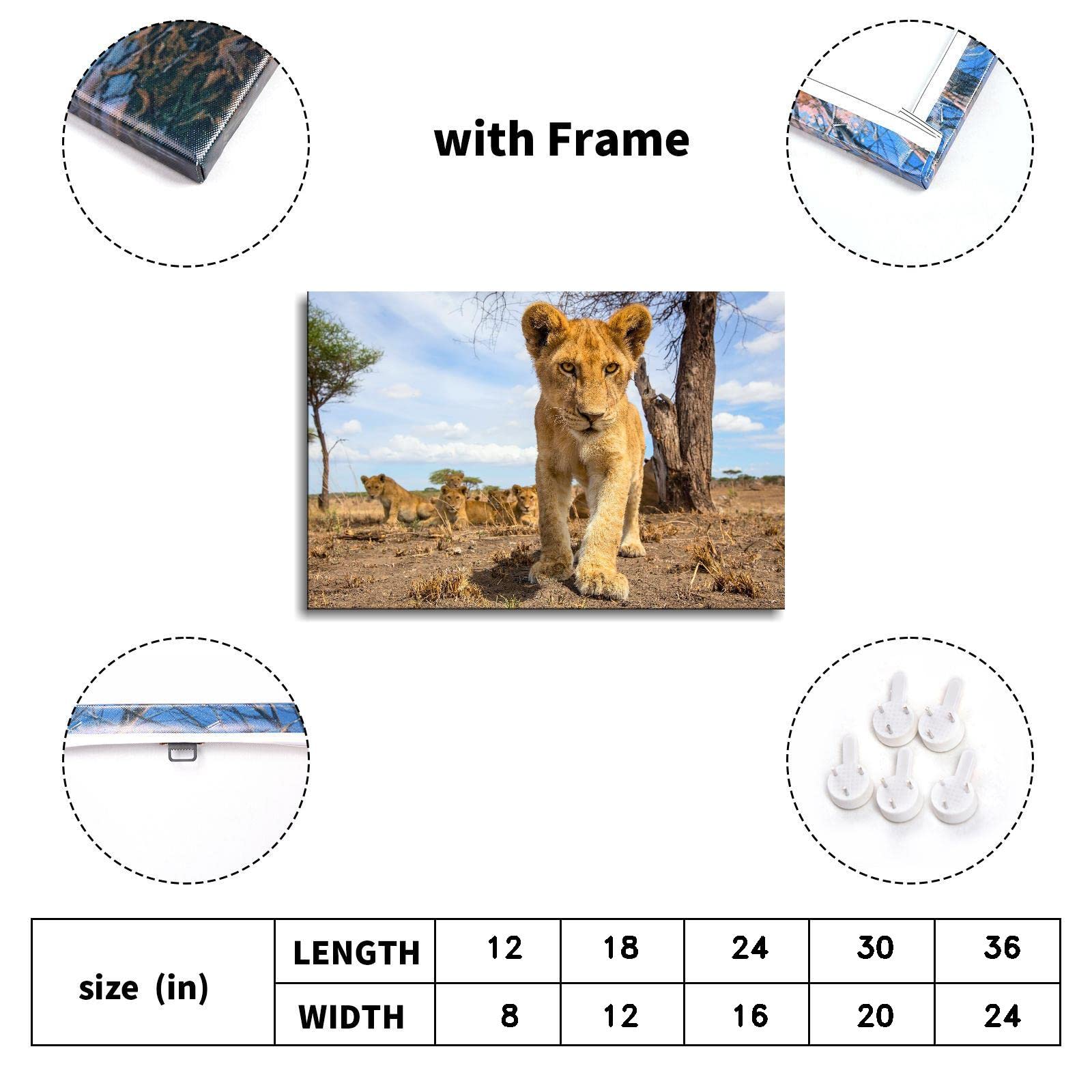 Little Lion Canvas Prints - 12