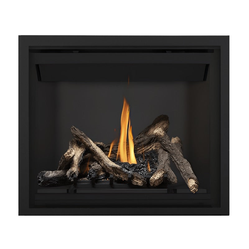 Napoleon Altitude 42 Inch Direct Vent Gas Fireplace - A42 Model | Indoor Home Heating & Cozy Living Room Fireplace for Winter