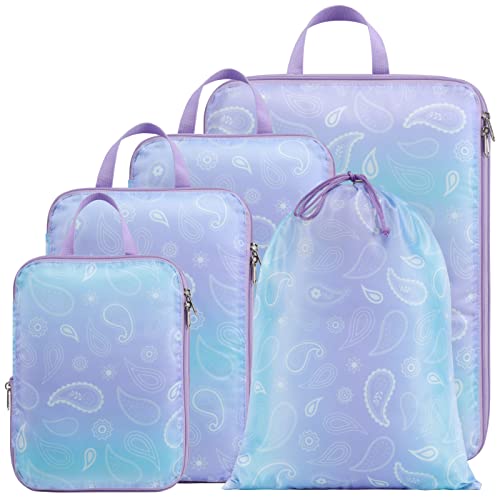 05 Blue Purple Gradient
