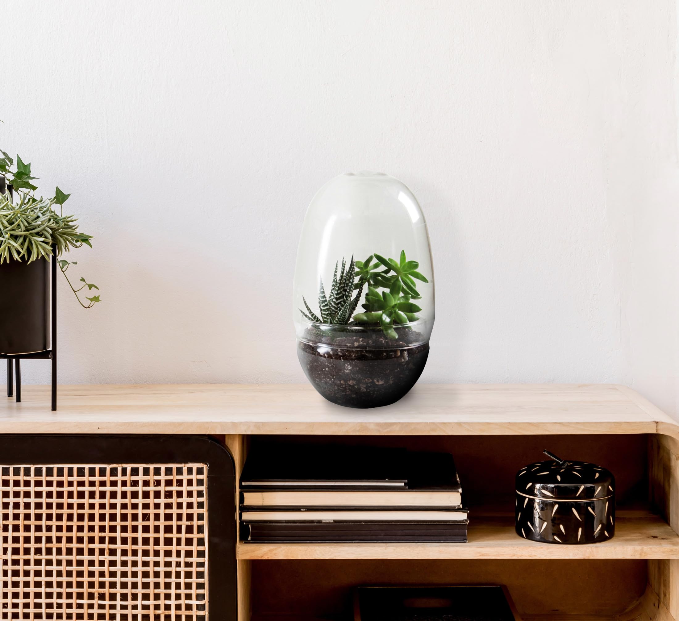 Bloomingville Large Clear Glass Terrarium for Succulents, Air Plants & Home Decor – Perfect for Indoor Gardens, Terrarium Displays & Wedding Centerpieces