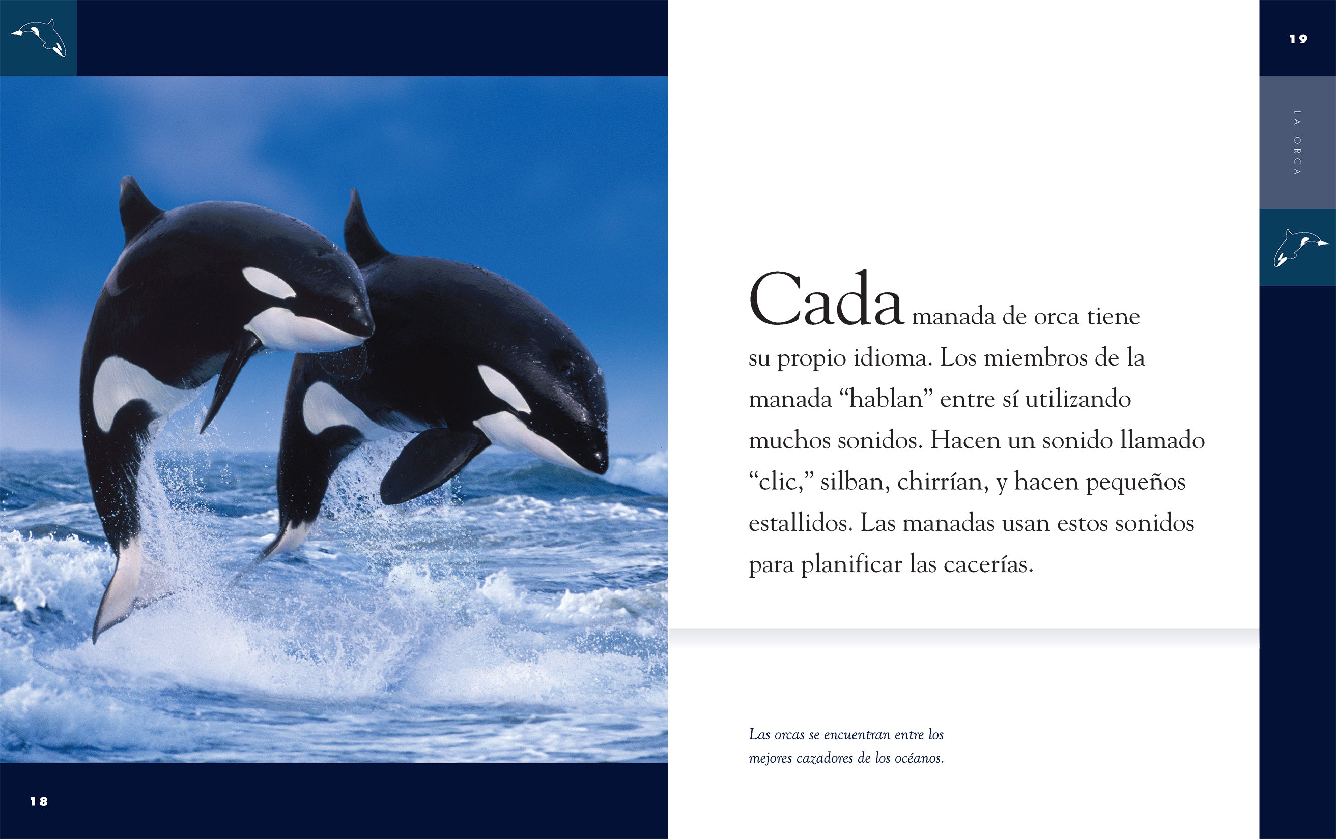 La Orca 9781640264687 - Premium Quality Book for Marine Life Enthusiasts | Perfect for Reading, Collecting & Gifting