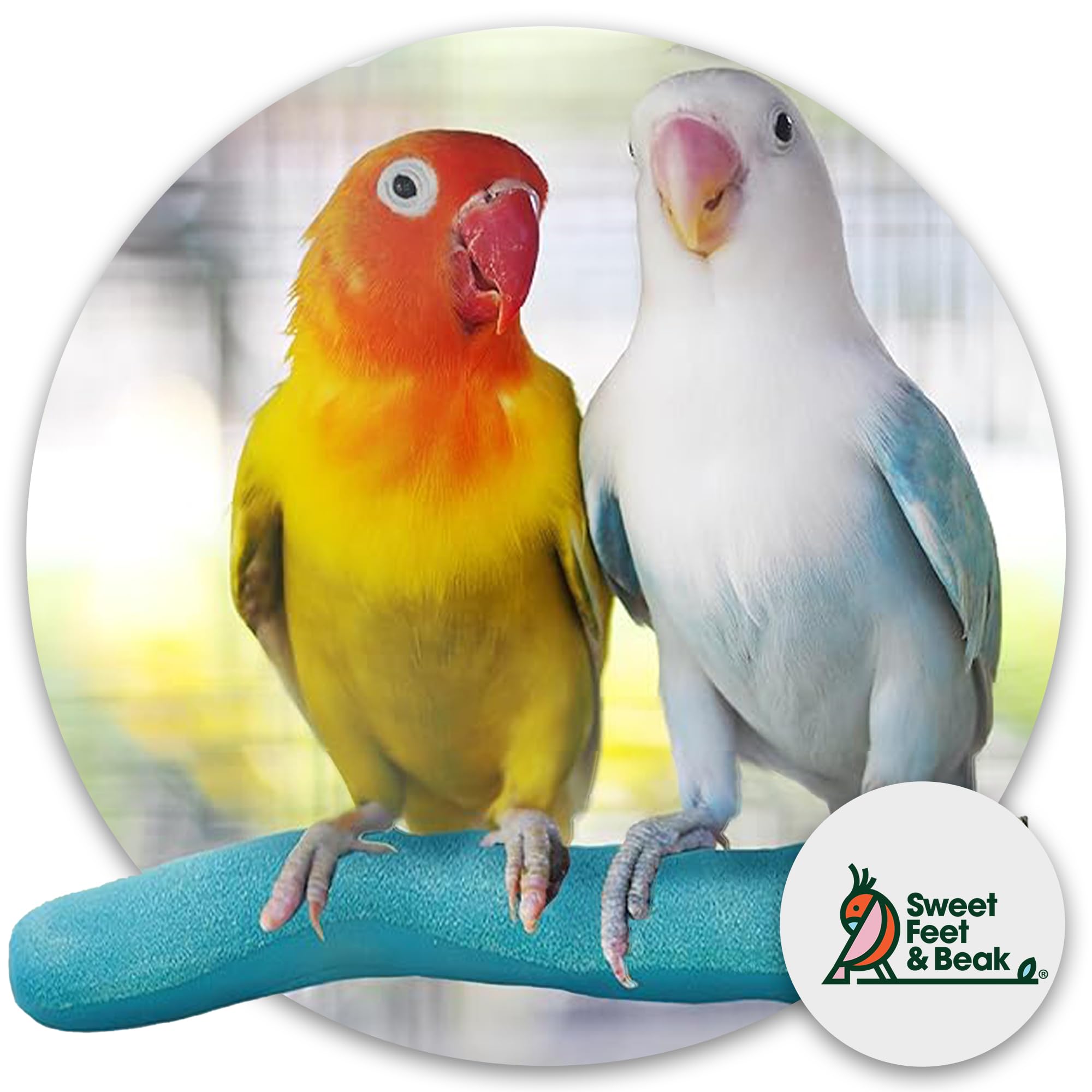 Natural Pumice Perch for Birds - 8