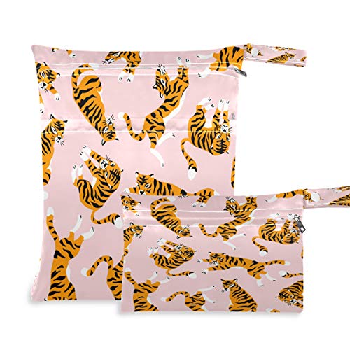 Cute Tiger