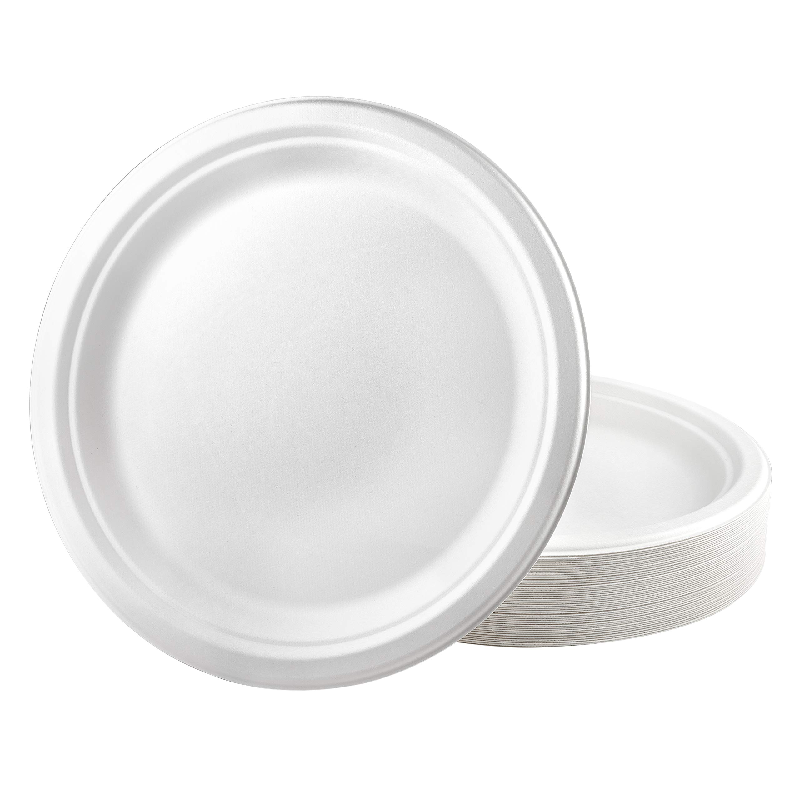 Eco-Friendly 100% Compostable Heavy Duty Sugarcane Bagasse Plates - 10 Inch, 600 Count - Perfect for Parties, Picnics & Sustainable Dining