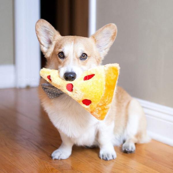 ZippyPaws NomNomz Plush Pizza Dog Toy with Squeakers - Fun Interactive Chew Toy for Small & Medium Dogs, Perfect for Playtime & Training