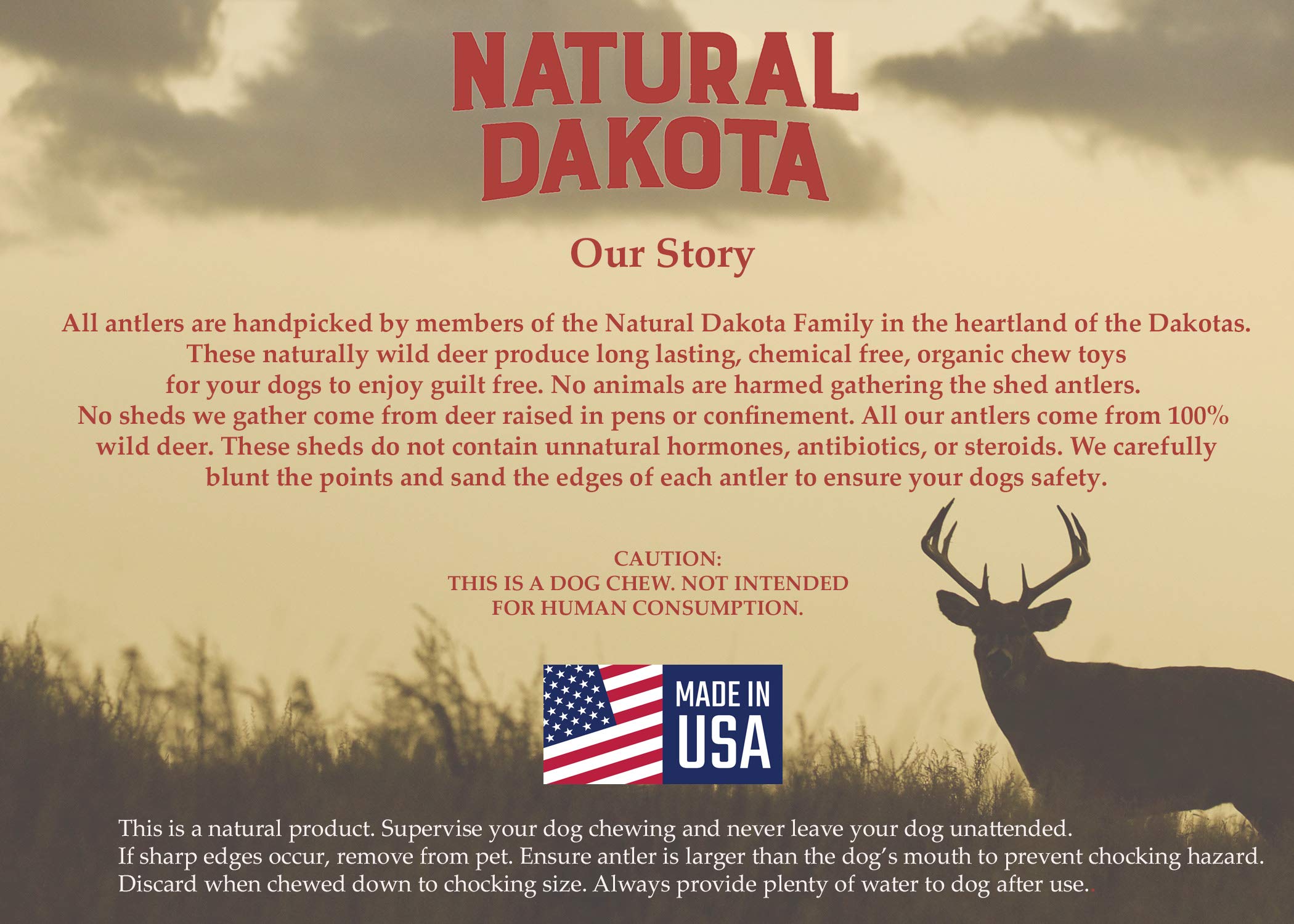 Premium Natural Dakota Deer Antler Chew Toys for Dogs - Large Size, Long-Lasting Dog Bone for Aggressive Chewers - Perfect for Teething Puppies & Dental Health