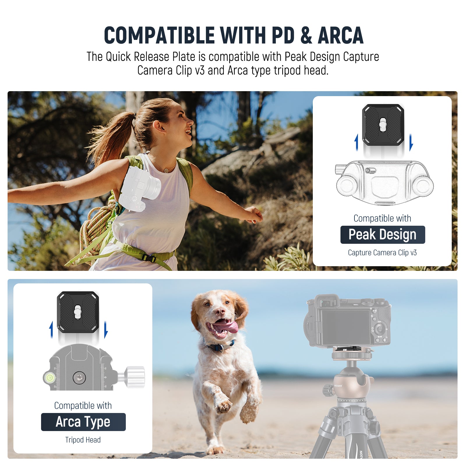 NEEWER GM41 Low Profile Tripod Ball Head - Compact & Lightweight Camera Mount for DSLR, Mirrorless & Video - Perfect for Travel, Vlogging & Outdoor Photography
