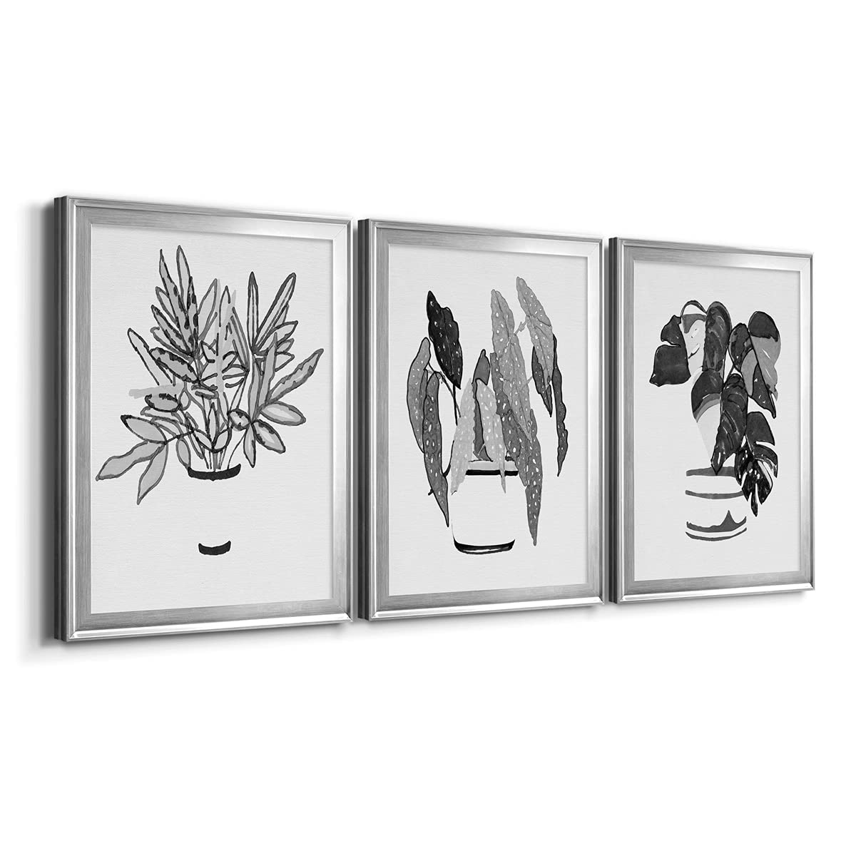 Rustic Contemporary Wall Decor Set - 3-Piece Silver Framed Canvas Art (18x24 Inches) for Bathroom, Living Room & Bedroom | Scandanavian & Latin Inspired Black & White Indoor Plant Prints - Perfect for Home & Office Decor