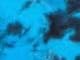 Electric Turquoise Marble