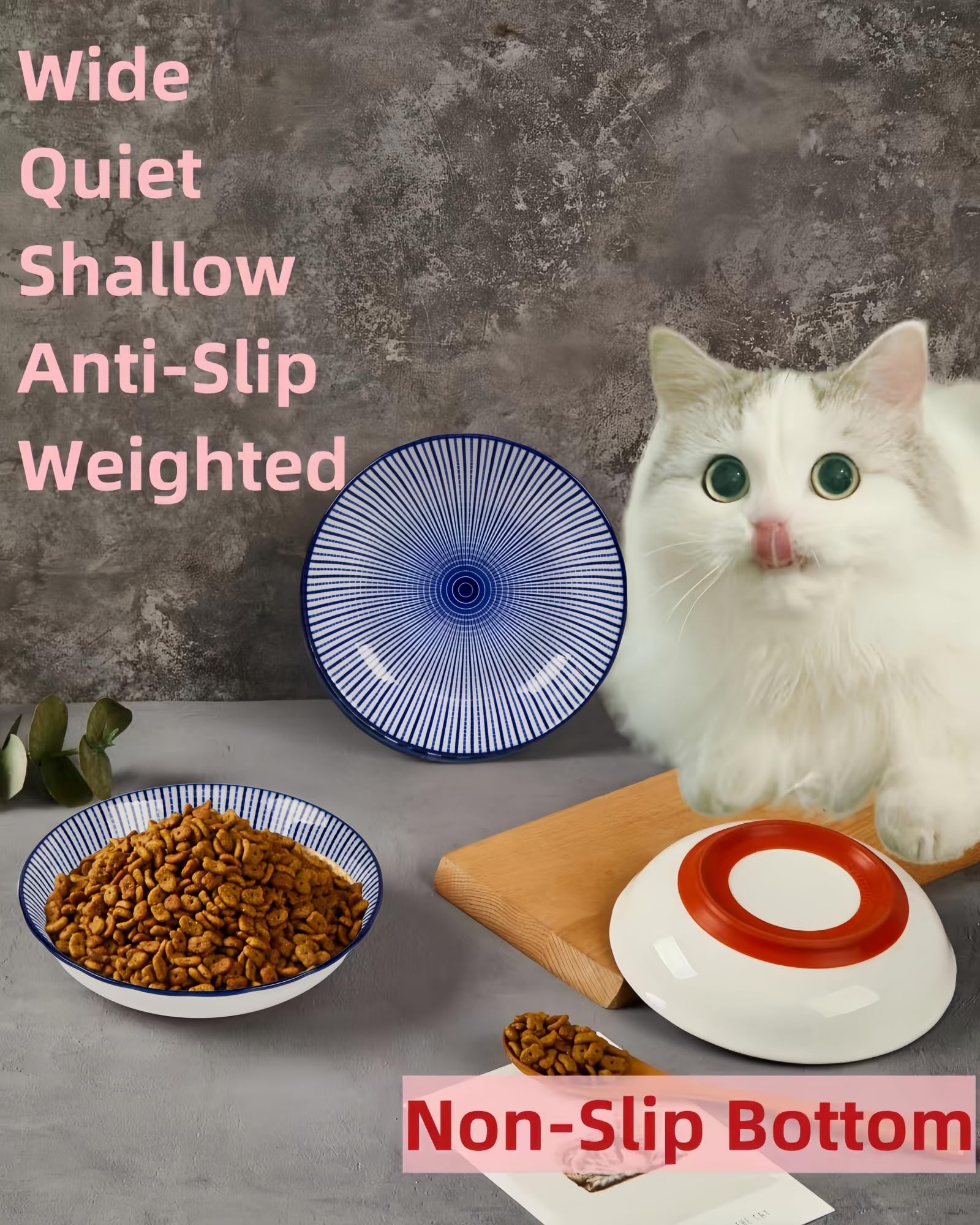 Anti-Slip Ceramic Cat Bowl Set - 5.5 Inch Shallow Pet Food Dish with Silicone Base for Whisker Fatigue Relief | Cute Wide Flat Cat Plates for Indoor Kittens | Perfect for Mealtime Comfort & Noise Reduction in Homes