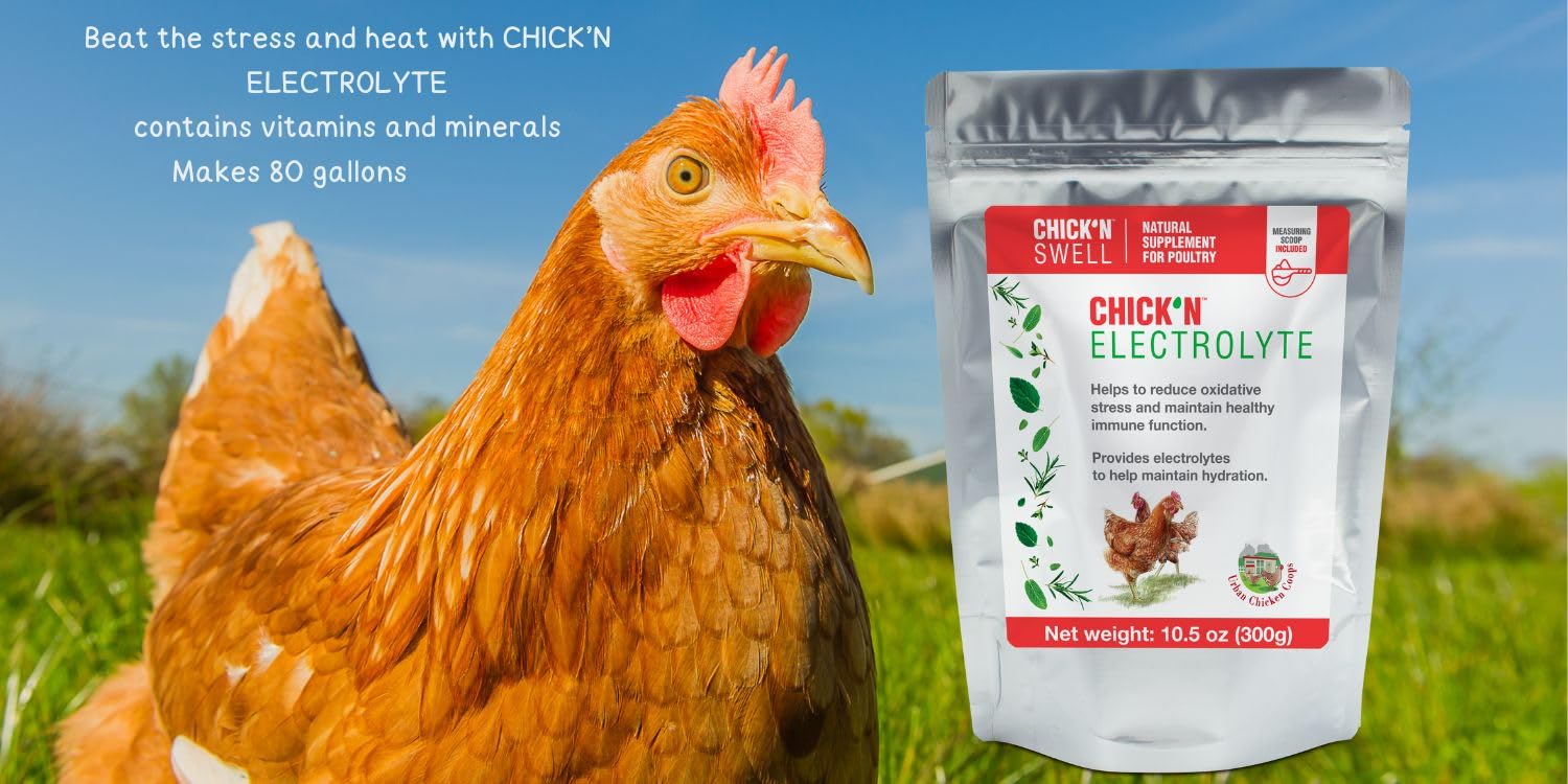 Chick'n Swell Poultry Electrolytes with Vitamins - 10.5oz (300g) Powder for 80 Gallons - Prevent Heat Stress & Dehydration in Chickens, Ducks & Turkeys - Essential Hydration Supplement for Backyard Flocks & Poultry Farms - Perfect for Hot Weather, Transport & Recovery