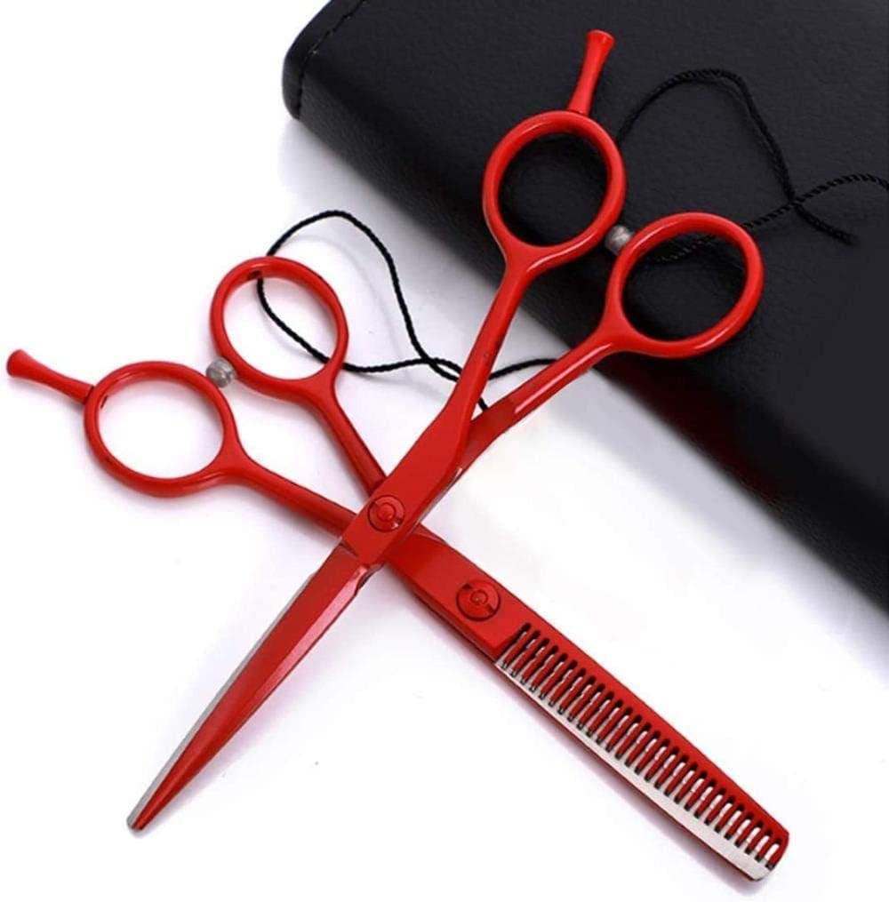 Professional Hair Cutting Scissors Kit - 5.5 Inch Hairdressing Shears with Flat & Texturizing Blades for Salon, Styling & Home Use - Sharp Stainless Steel Hair Scissors for Barbers & Stylists