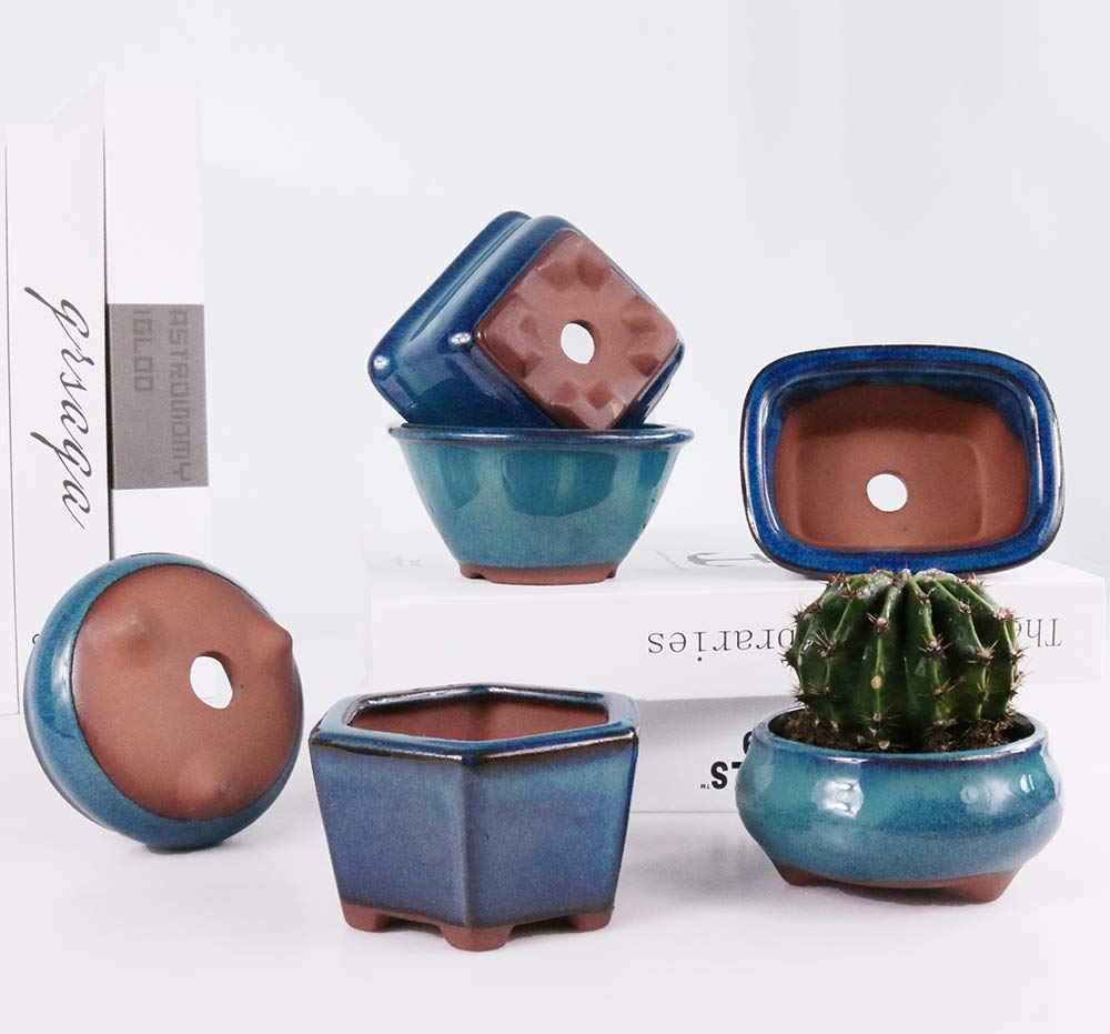 MUZHI 6-Pack Glazed Ceramic Bonsai Pots - 3